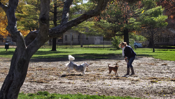 Broad Ripple Bark Park